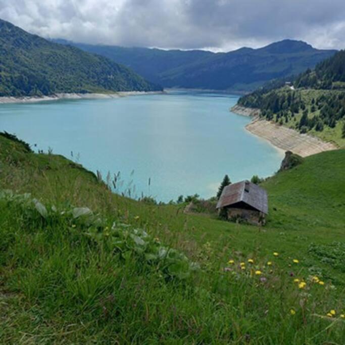 L'Appartement Les Bossons En Lisiere De Foret Dans Le Chalet Genepi Arêches Kültér fotó