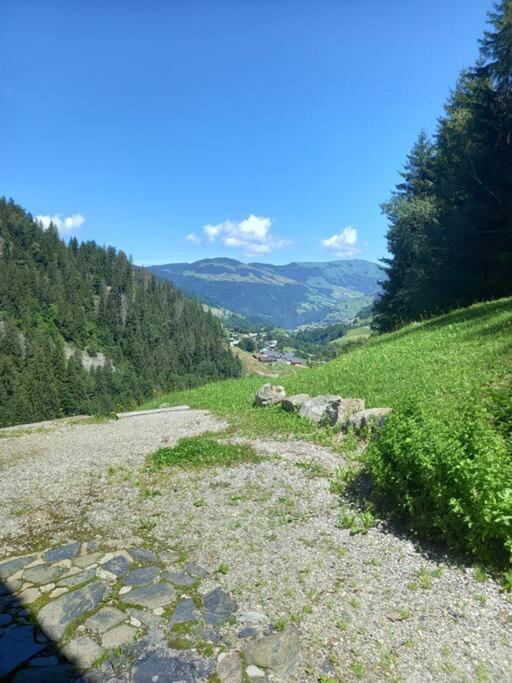 L'Appartement Les Bossons En Lisiere De Foret Dans Le Chalet Genepi Arêches Kültér fotó